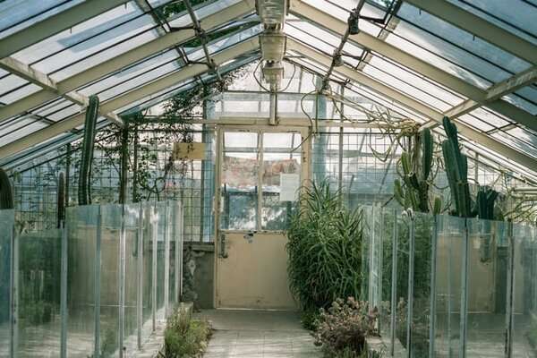 Do it Yourself Greenhouse