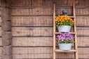 leaning DIY wooden ladder with flower pots on a wooden wall