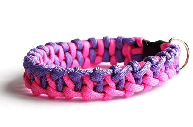 paracord for a leash