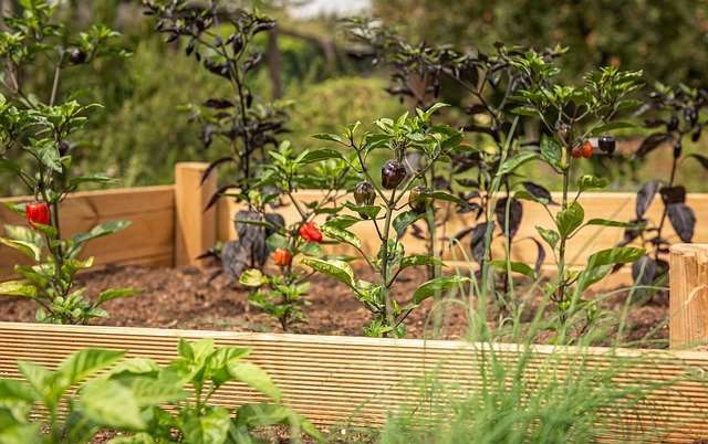 Making your own garden beds