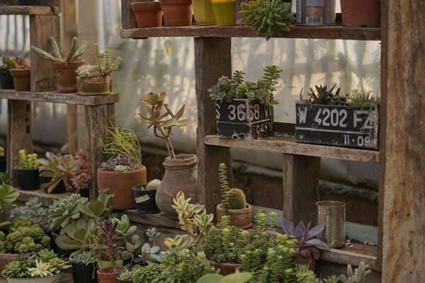 Do It Yourself Potting Bench