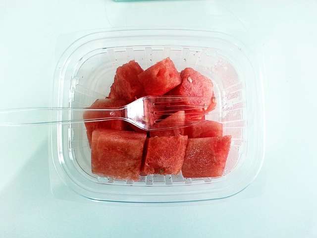 plastic melon container